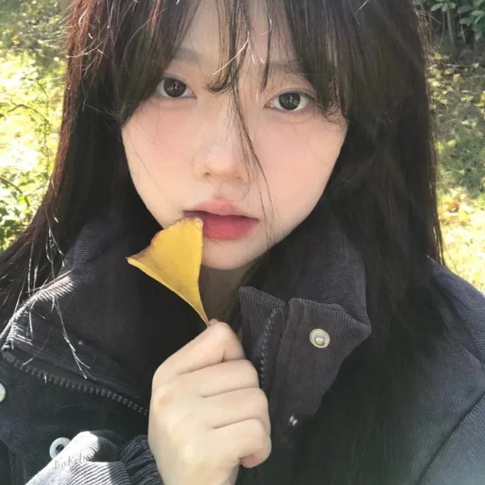 开罗谍影